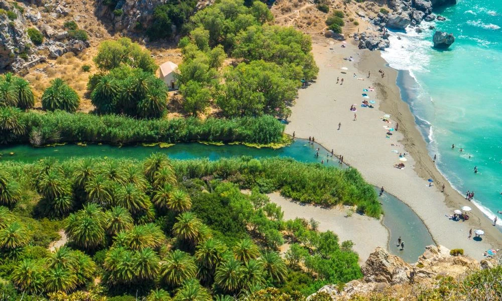 Αυτή είναι η εξωτική παραλία της Κρήτης με το μαγευτικό φοινικόδασος